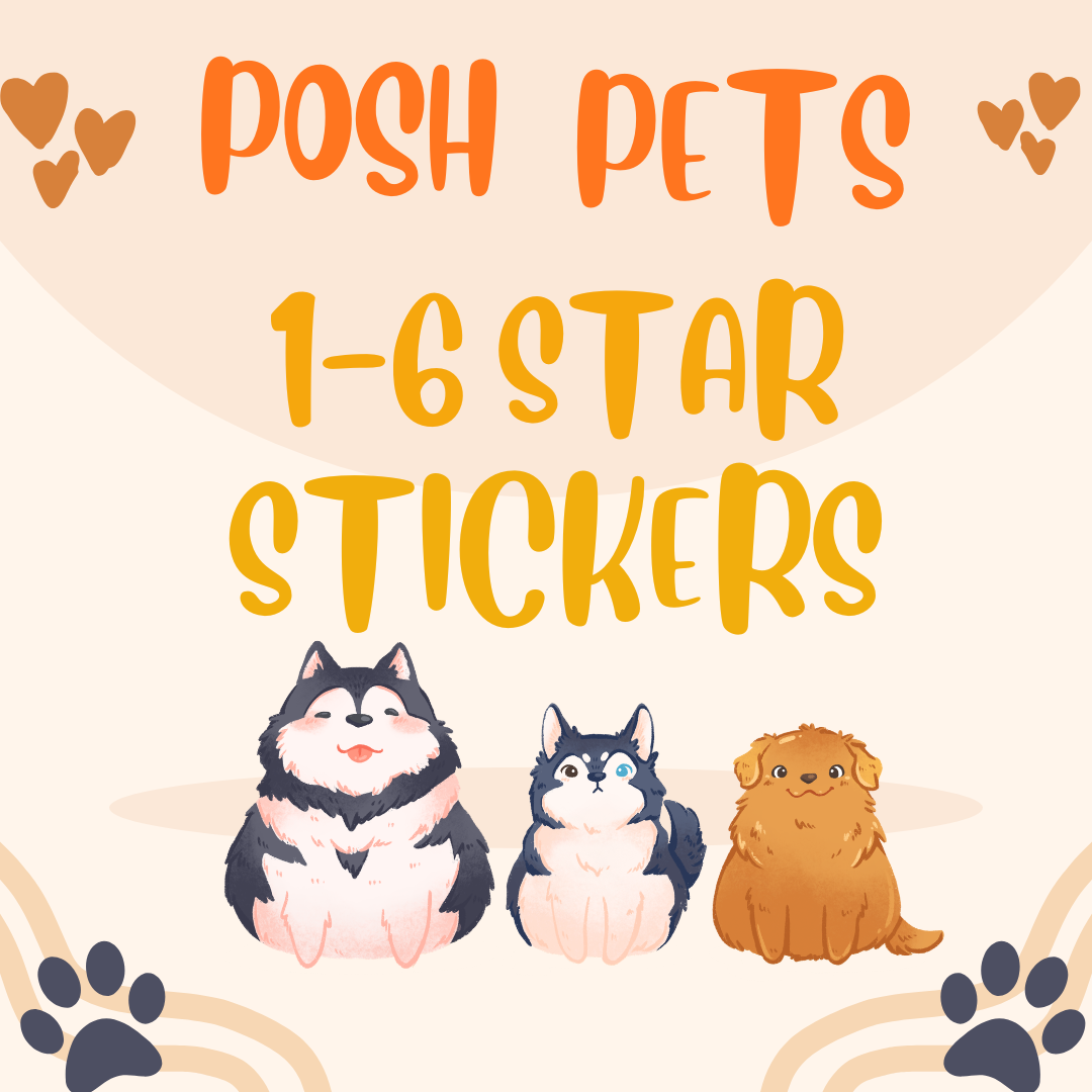 1 -6⭐ Star Stickers!